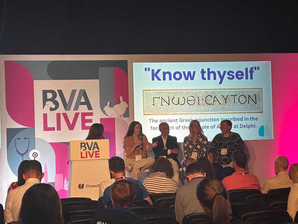 Dr Ami Sawran speaking on a panel at BVA Live