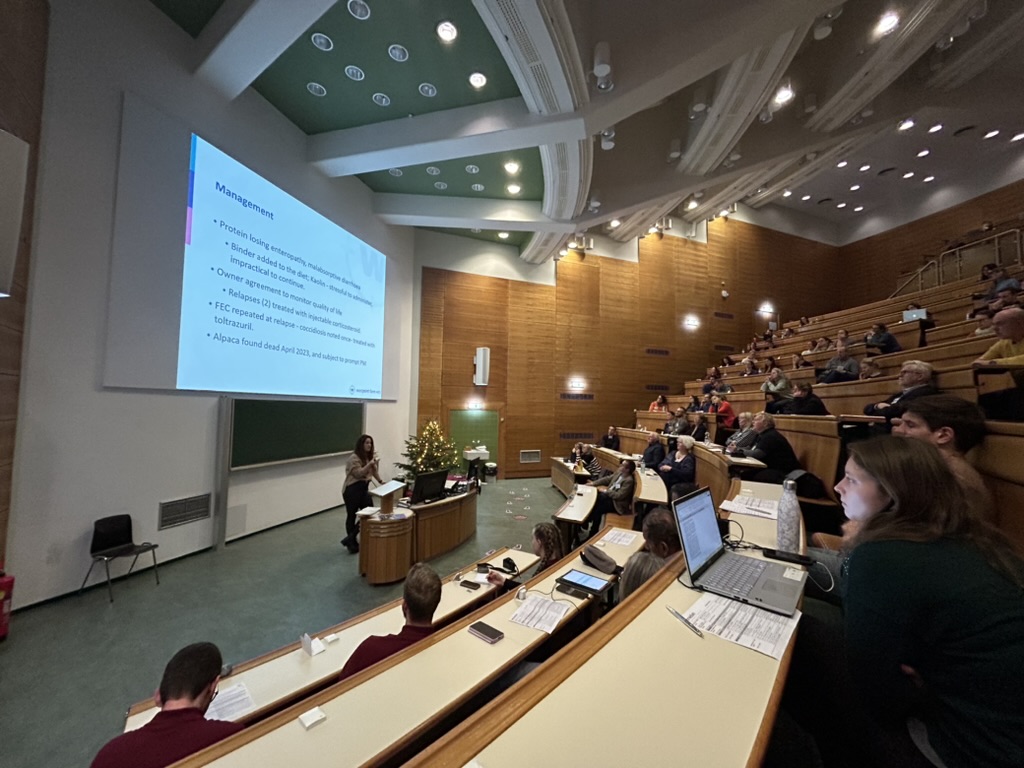 Delivering a CPD lecture in a university theatre