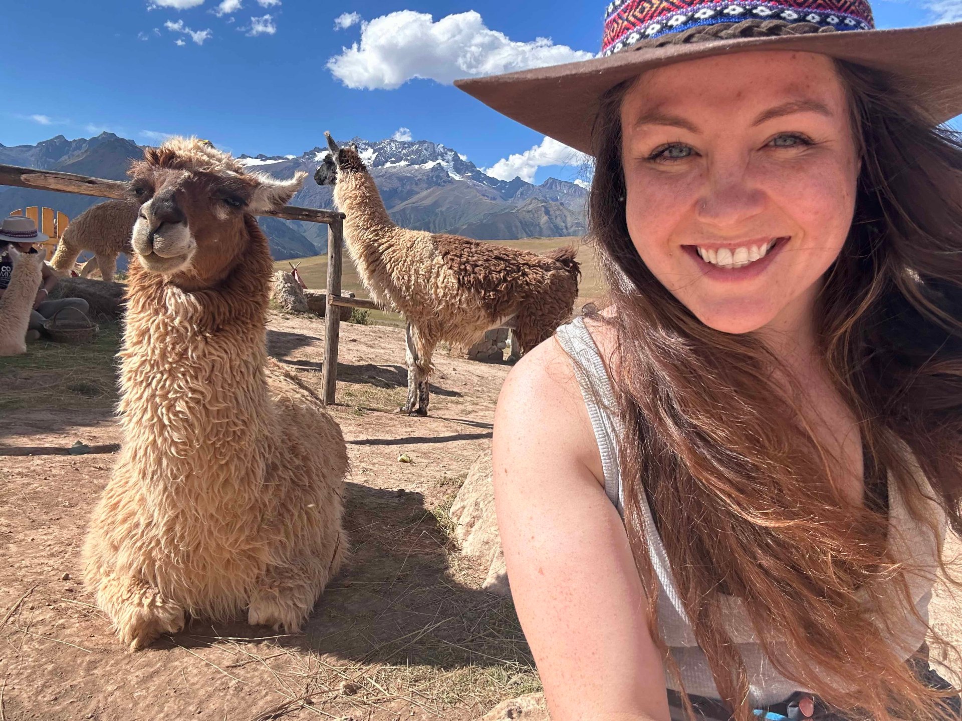 With llamas in the Peruvian Andes